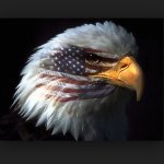 Profile Picture of Isaiah Tompkins (@bulldoser9087) on Instagram