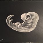 Profile Picture of Thomas Ott (@thomasott_tott) on Instagram