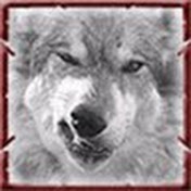 Profile Picture of Dino Lucci (@DinoLucci) on Youtube