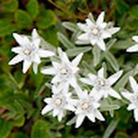 Profile Picture of Kim Lauzon (@kim-lauzon-7) on Quora