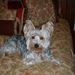 Profile Picture of Cherri Simonds (@cherrijunkin) on Pinterest