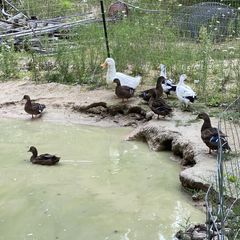 Profile Picture of James Ehle (@james.ehle) on Tiktok