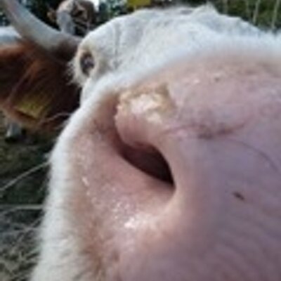 Profile Picture of Tim Warr (@timwarr) on Twitter