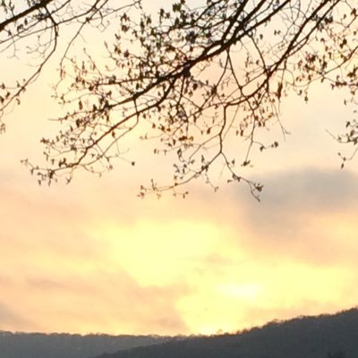Profile Picture of Bradley Lutz (@Brad_lutz_) on Twitter