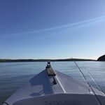 Profile Picture of Richard Sharkey (@richard.sharkey.902) on Instagram