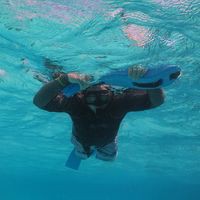 Shawn Noel - Quora Profile Picture of Shawn Noel (@shawn-noel-18) on Quora