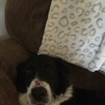 Ellen Knight Riddle - Instagram Profile Picture of Ellen Knight Riddle (@ellenknightriddle) on Instagram