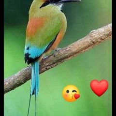 Profile Picture of Cesar Tercero (@catm470) on Twitter