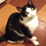 Profile Picture of Stacy Crouch (@stikerbella31) on Instagram