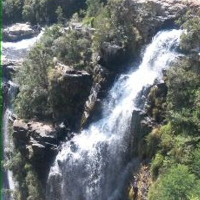 Profile Picture of Renita Singh (@singh_renita) on Twitter