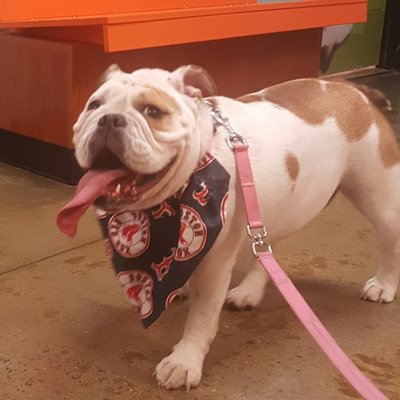 Chris Merchant - Twitter Profile Picture of Chris Merchant (@ShortsellMerch) on Twitter