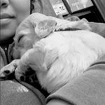 Profile Picture of Rashmi Thapa (@rashmi.thapa.370515) on Instagram