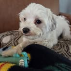 Profile Picture of Felecia Alexander (@felecia.alexander.58) on Facebook