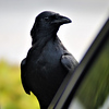 Profile Picture of danjefferies1 (@danjefferies1) on Flickr