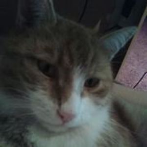 Profile Picture of Sandra Albin (@sa.n.ra.9) on Myspace