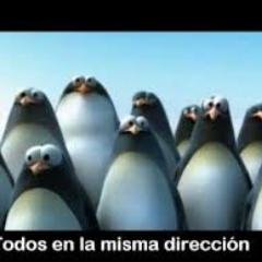 Profile Picture of Marc Gallardo (@marcgallardo15) on Twitter