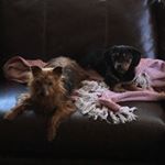 Profile Picture of Kelli Berwick (@kelliberwick) on Instagram