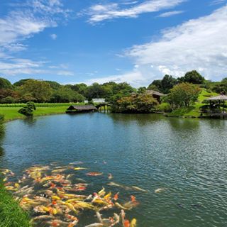 Profile Picture of Eddie TakKing Tam (@tak.king.tam) on Facebook