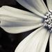 Profile Picture of Angie Joos (@monkin612) on Pinterest