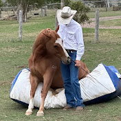 Profile Picture of Kim Daley Horsemanship (@KimDaleyHorsemanship) on Youtube