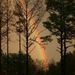 Profile Picture of Jo Harper (@joharper) on Pinterest