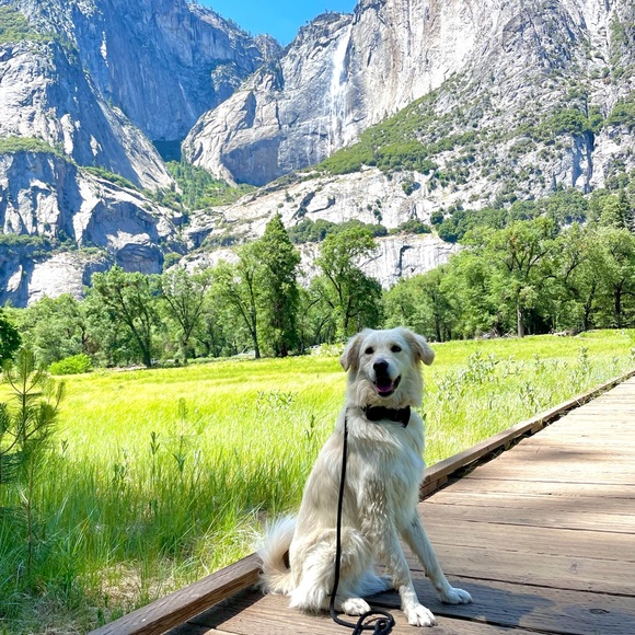 Profile Picture of Lacrisha Go (@lacrisha_go) on Poshmark