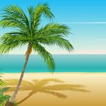 Profile Picture of Jean Philippe Marty (@911paradise) on Instagram