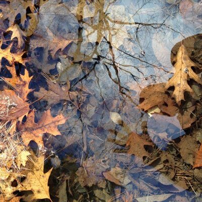 Profile Picture of Daniel Trunk (@danodmt) on Twitter