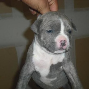 Profile Picture of Matthew Maconahay (@163846139) on Myspace