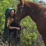Profile Picture of Athena Gillis (@wild_mustang12) on Instagram