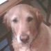 Profile Picture of Shelly Swank (@shelly.swank) on Facebook