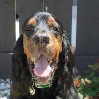 Profile Picture of Daniel DeVito (@ddevito01) on Twitter