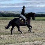 Profile Picture of Amanda Wallgren (@_sweetmandy_) on Instagram