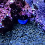 Profile Picture of Joshua Huffman (@Joshua-Huffman) on Facebook