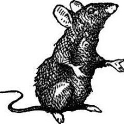 Profile Picture of jonathan kim (@JonathanCKim) on Twitter