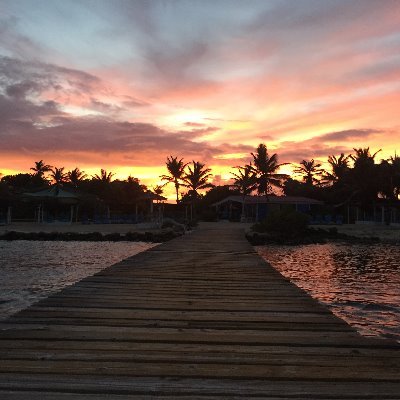 Profile Picture of Amanda Neu (@AmandaNeu16) on Twitter