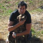 David Tamayo Maluenda - Instagram Profile Picture of David Tamayo Maluenda (@tamyo5) on Instagram