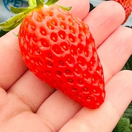 Profile Picture of KathyFields (@xlowesgknr1) on Tiktok