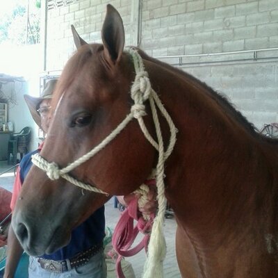 Profile Picture of Alfredo Vizcarrondo (@alfrevizca55) on Twitter