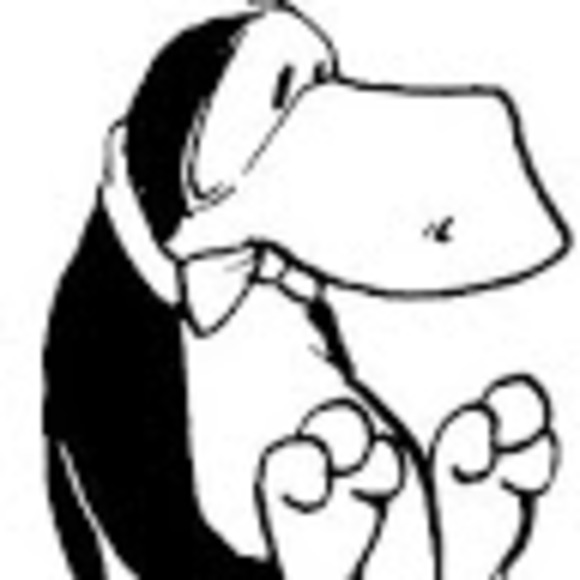 Profile Picture of John Dixon (@johnd58395) on Poshmark