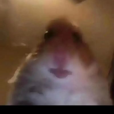 Profile Picture of Douglas Loucks (@Fate_Ducky16) on Twitter