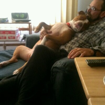 Profile Picture of Rodney Mueller (@rhandymanm) on Twitter