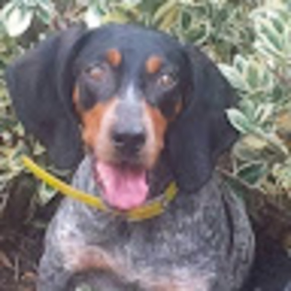 Profile Picture of Peyton Heath (@jewsocrazy21) on Poshmark