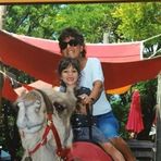 Profile Picture of Katherine Palmieri (@katherine.palmieri.79) on Facebook