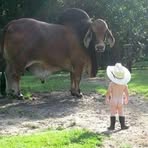 Profile Picture of Howard Carley (@howard.carley) on Facebook