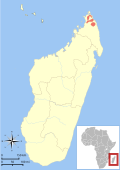 Profile Picture of Amber Mountain fork-marked lemuron Wikipedia