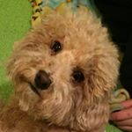 Julia - Instagram Profile Picture of Julia (@julia__earle__) on Instagram