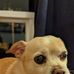 Profile Picture of Jo Anne McCarty (@joanne.mccarty.737) on Facebook