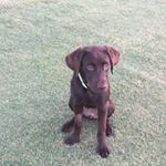 Profile Picture of Dee Jarrett (@dee14j) on Instagram