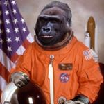 Profile Picture of Nate Wickersham (@spacegorilla420) on Instagram